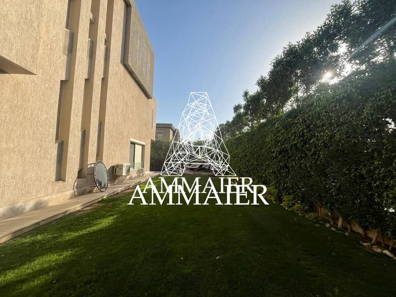 4 8500b541-2639-441b-a4bb-dcfbd750de67. jpeg