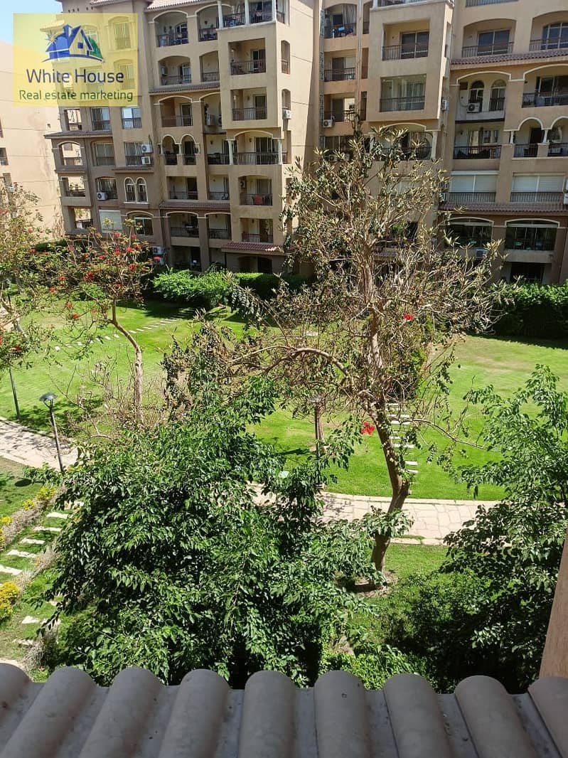 7 5d6bb73e-ac10-4240-9961-697fc30bed16. jpg