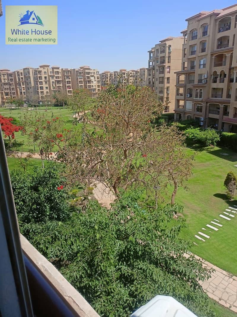 24 bdb5f7a1-0eb3-4a41-8e9c-971904eedddb. jpg