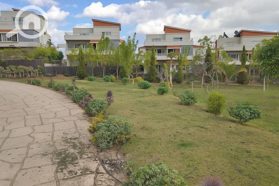 8 166a07bb-c5ce-4033-9d6c-c39aa0050f61. jpeg