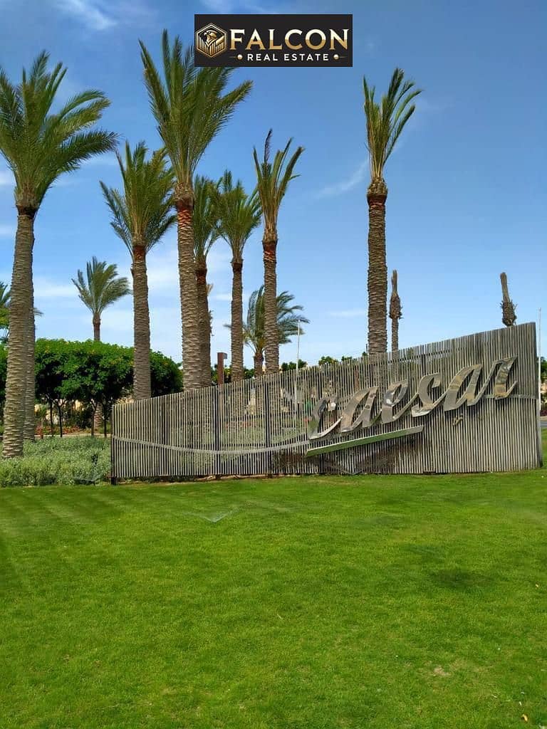 3 WhatsApp Image 2025-07-16 at 13.34. 52_307b8f3f. jpg