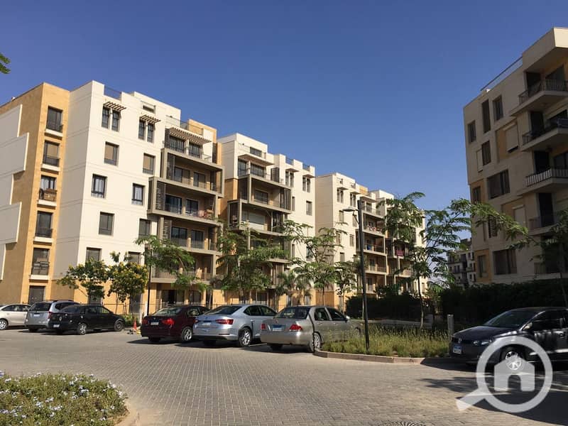 11 5dbac25609a0c. jpeg