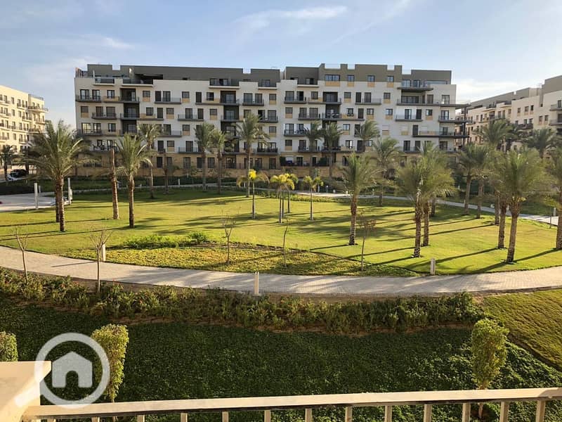 13 73e5ffe6-c34e-4c5f-ab53-ac0ef2446ef5. jpg