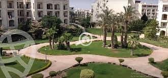 3 download (7). jpeg