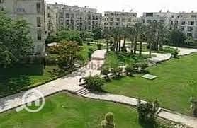 5 download (5). jpeg