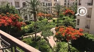 6 download (1). jpeg