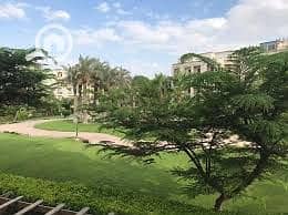 7 download (8). jpeg