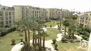 9 download (10). jpeg