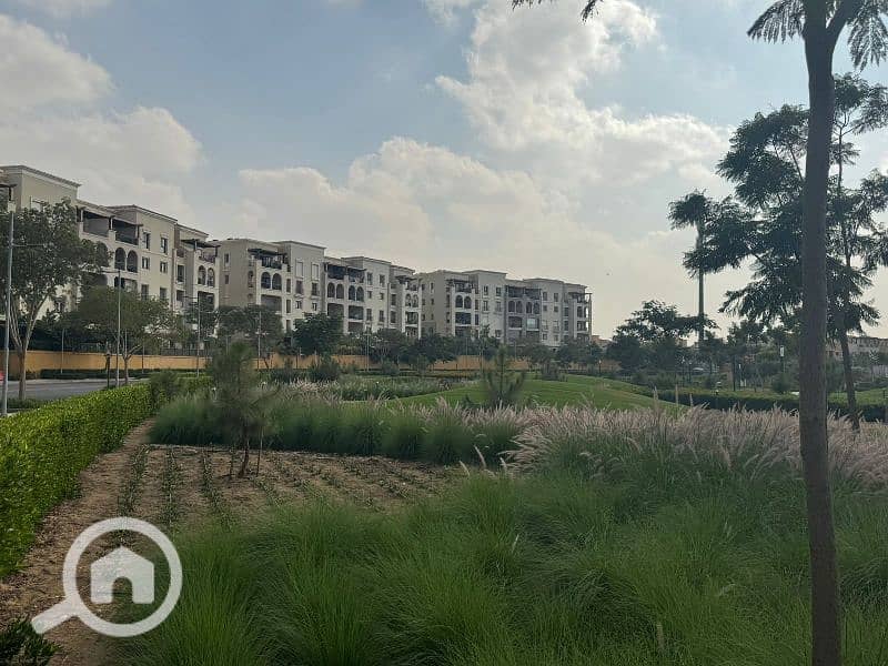 7 WhatsApp Image 2025-11-11 at 14.17. 18 (1). jpg