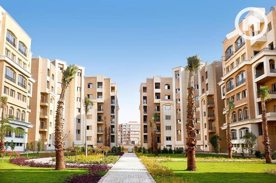 5 7922d1ac-b4b0-44c0-9be6-cfaad0ed3029. jpeg