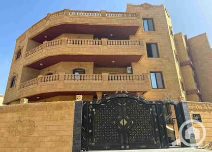 عقارات تجارية اخرى  للايجار في القاهرة الجديدة، القاهرة - 45069. jpg