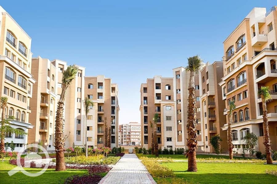 4 7922d1ac-b4b0-44c0-9be6-cfaad0ed3029. jpeg