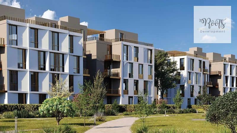 9 VYE-NEW-ZAYED-3_800x450. jpg