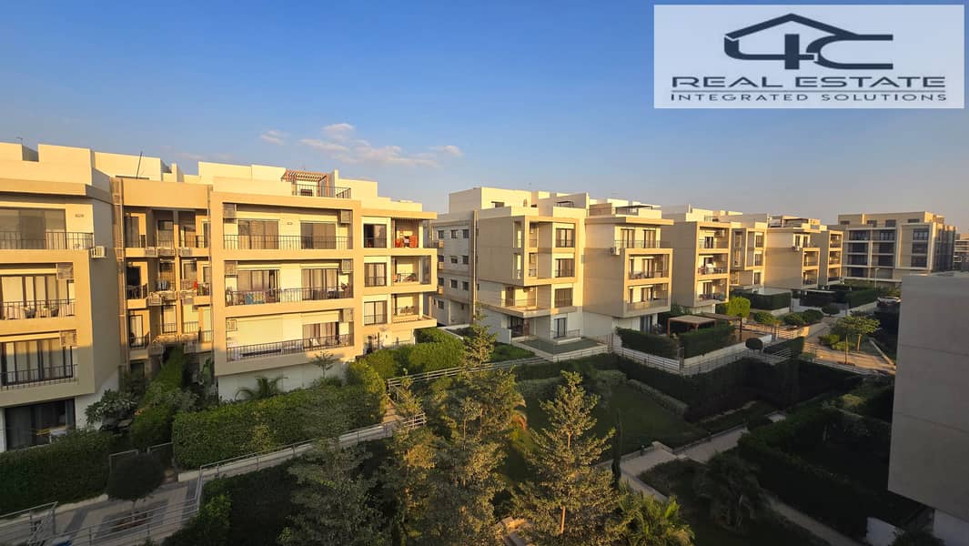 20251117_154510. jpg