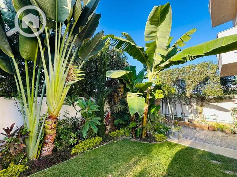 13 e3a17eb6-2c6b-40f3-8512-649217bf8c41. jpg