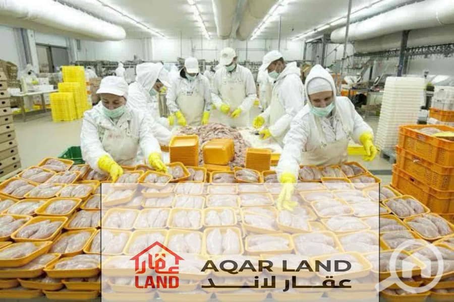 5e18f7a5-535f-4466-bb12-31c49e9919c6. jpg 5e18f7a5-535f-4466-bb12-31c49e9919c6. jpg