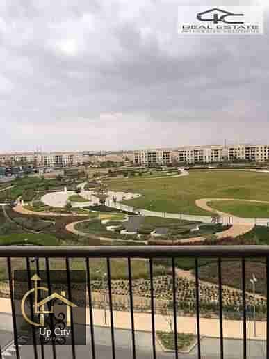 11 images (28). jpeg