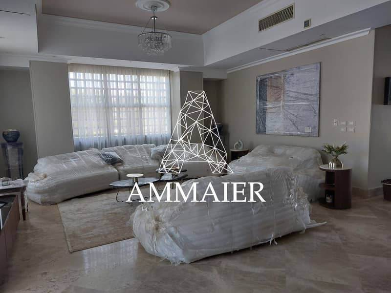 6 1b0c34fe-2b19-4e07-9259-632a114545b1. jpg