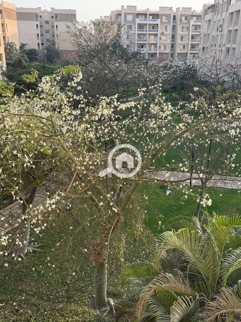 11 80c1f8f1-0203-4df3-ab26-3b8a18e28c38. jpeg