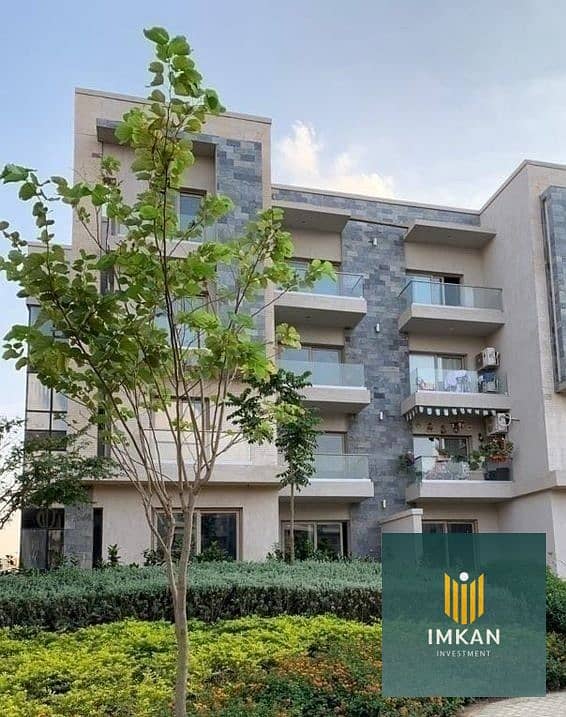 10 567752234_844226414784899_7611880948231838329_n. jpg