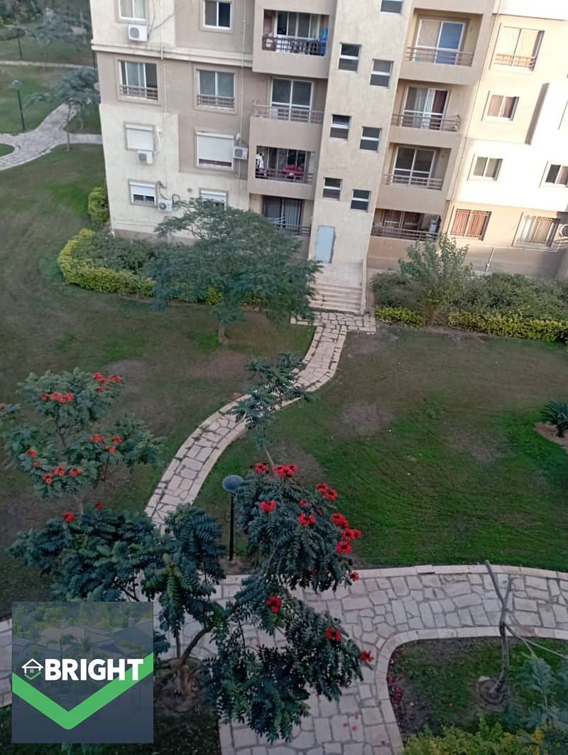 3 35fe4e2e-c4db-4923-8820-a99120108b5b. jpg