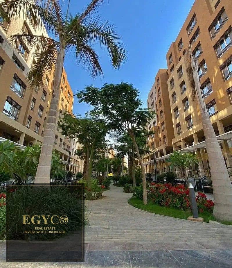 32016437-800x600. jpg