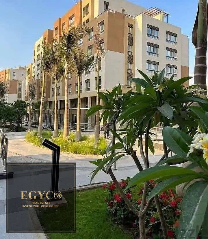 2 32016438-800x600. jpg