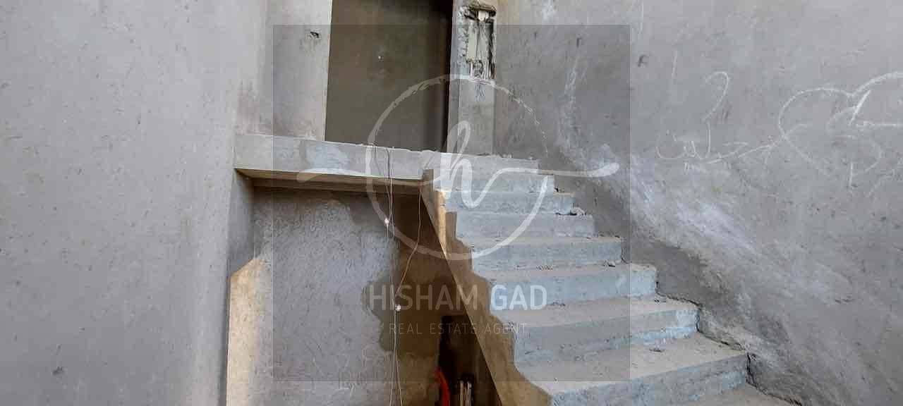 6 511b2acc-2726-408f-b02c-825e53c7a0cb. jpg