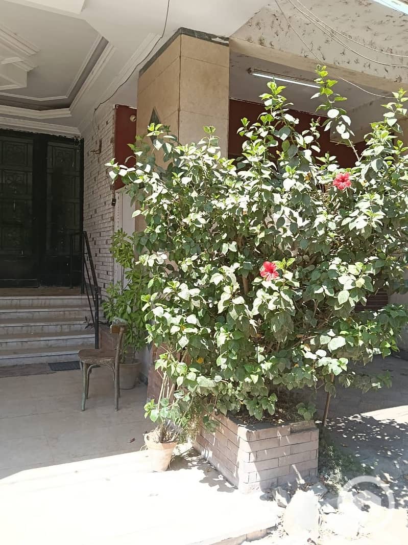 10 c19b059d-41ee-4fe5-9870-f105b5b04b49. jpeg