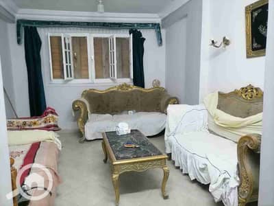 1 Bedroom Apartment for Rent in Maadi, Cairo - 1000269890. jpg