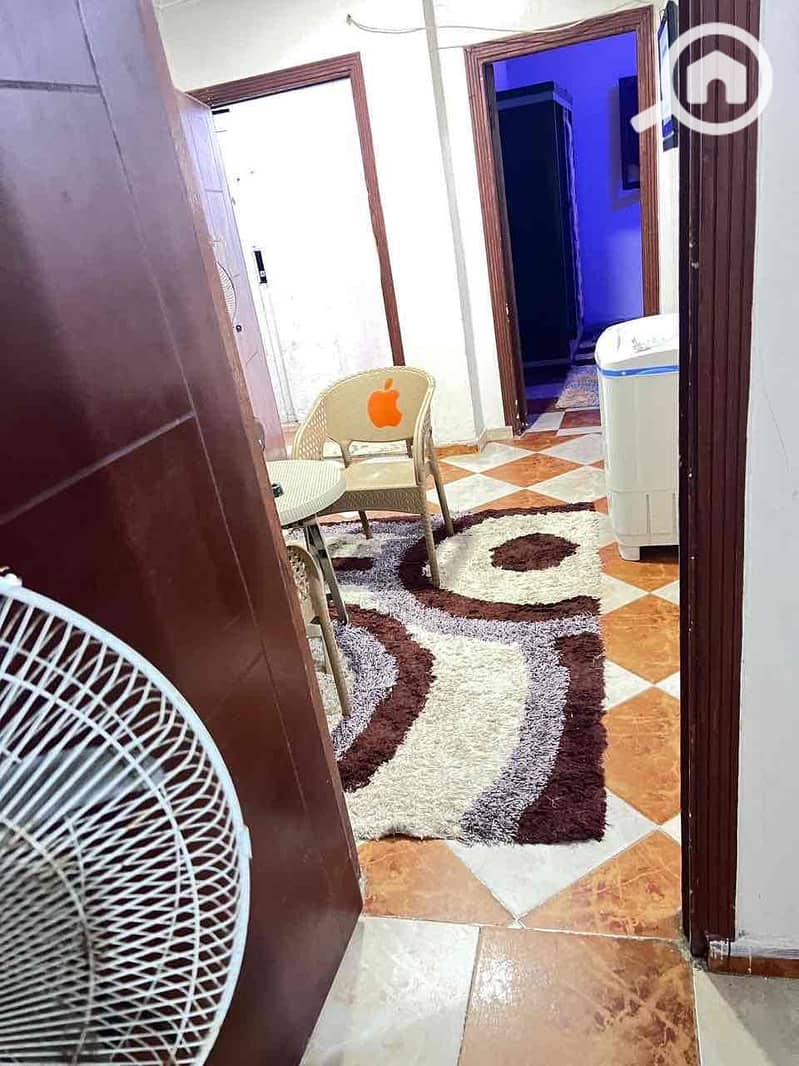 3 2b48fe02-cd04-491d-94c8-75b8b007b23d. jpg