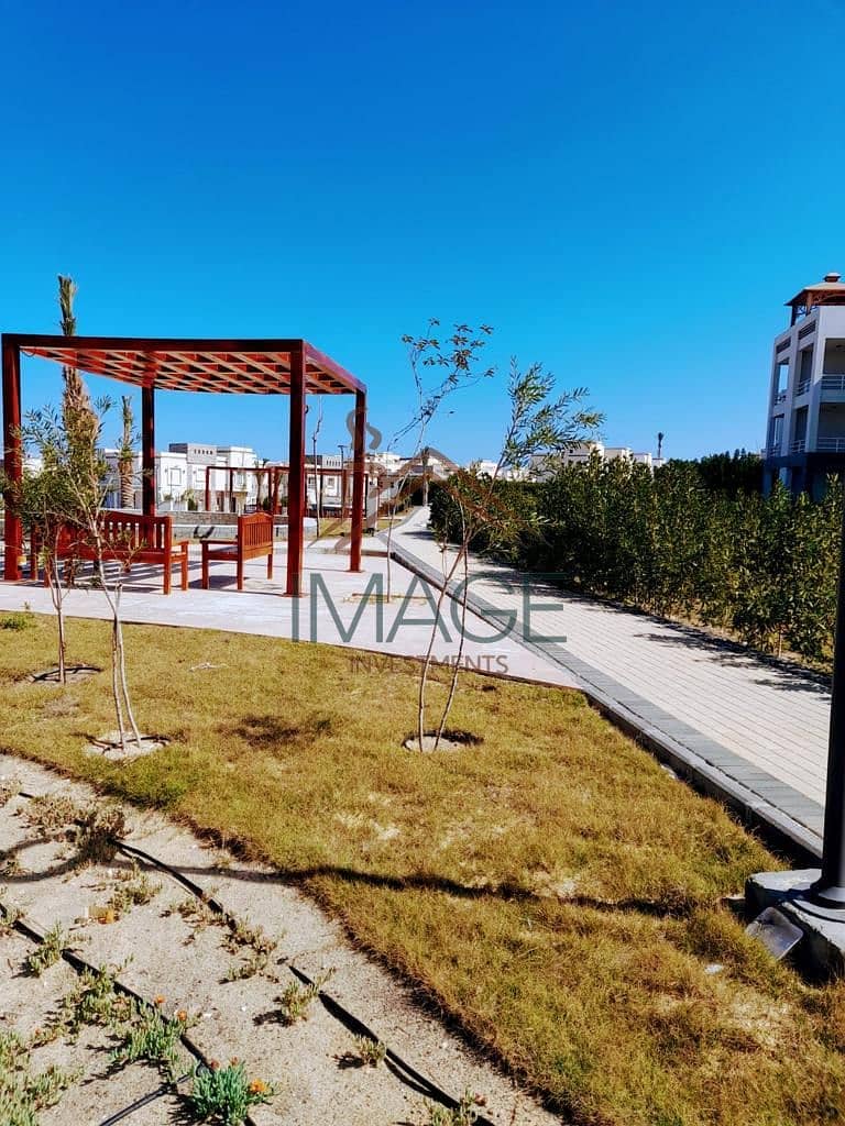 13 WhatsApp Image 2024-12-23 at 15.50. 09. jpeg