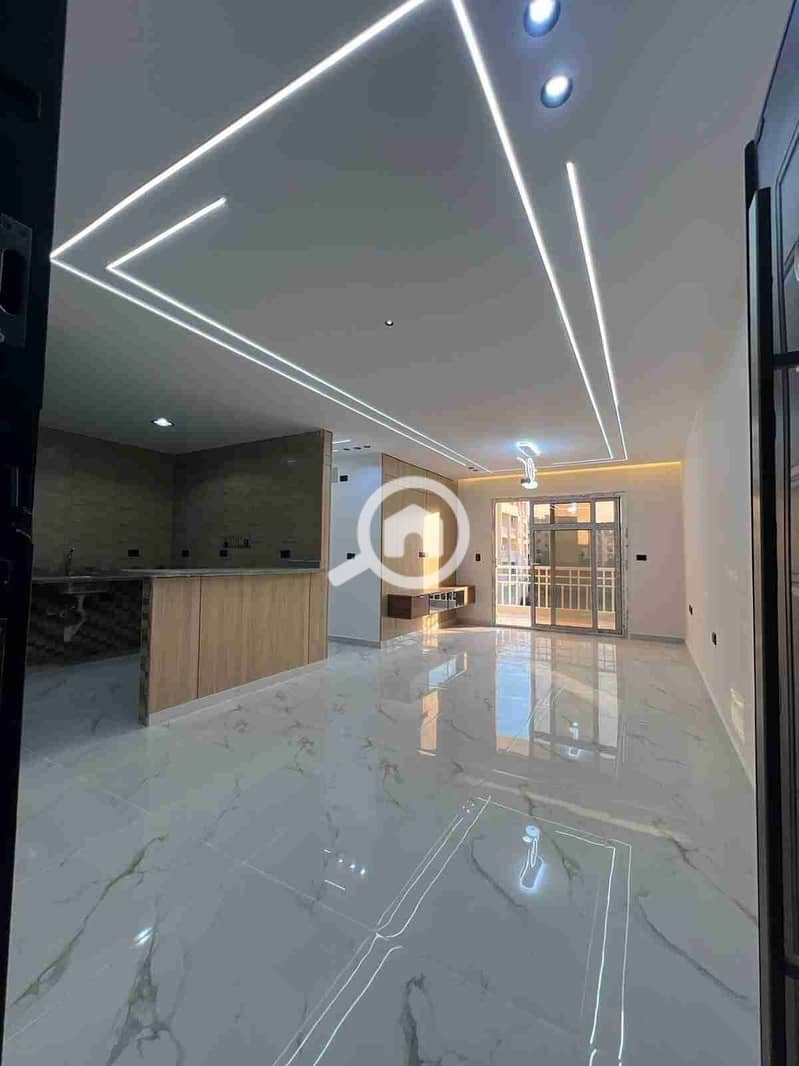 1000377353. jpg 1000377353. jpg