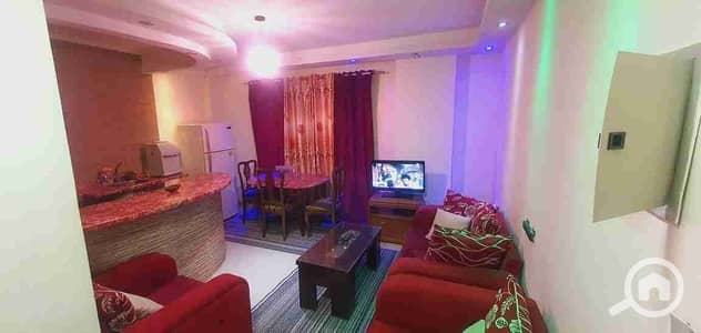 1 Bedroom Flat for Rent in Madinaty, Cairo - 1000109071. jpg 1 Bedroom Flat for Rent in Madinaty, Cairo - 1000109071. jpg