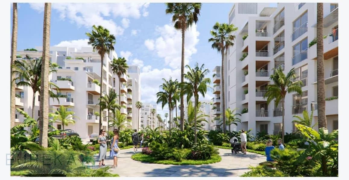 5 WhatsApp Image 2024-08-08 at 2.45. 01 PM. jpeg