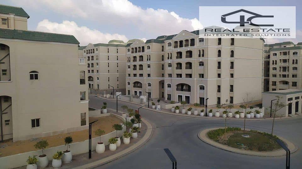 3 480714079_1177372237096528_3837677263300669989_n. jpg