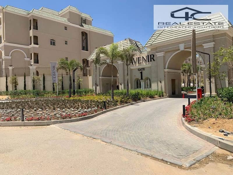 13 558245955_10163397264388187_6744709551701681513_n. jpg