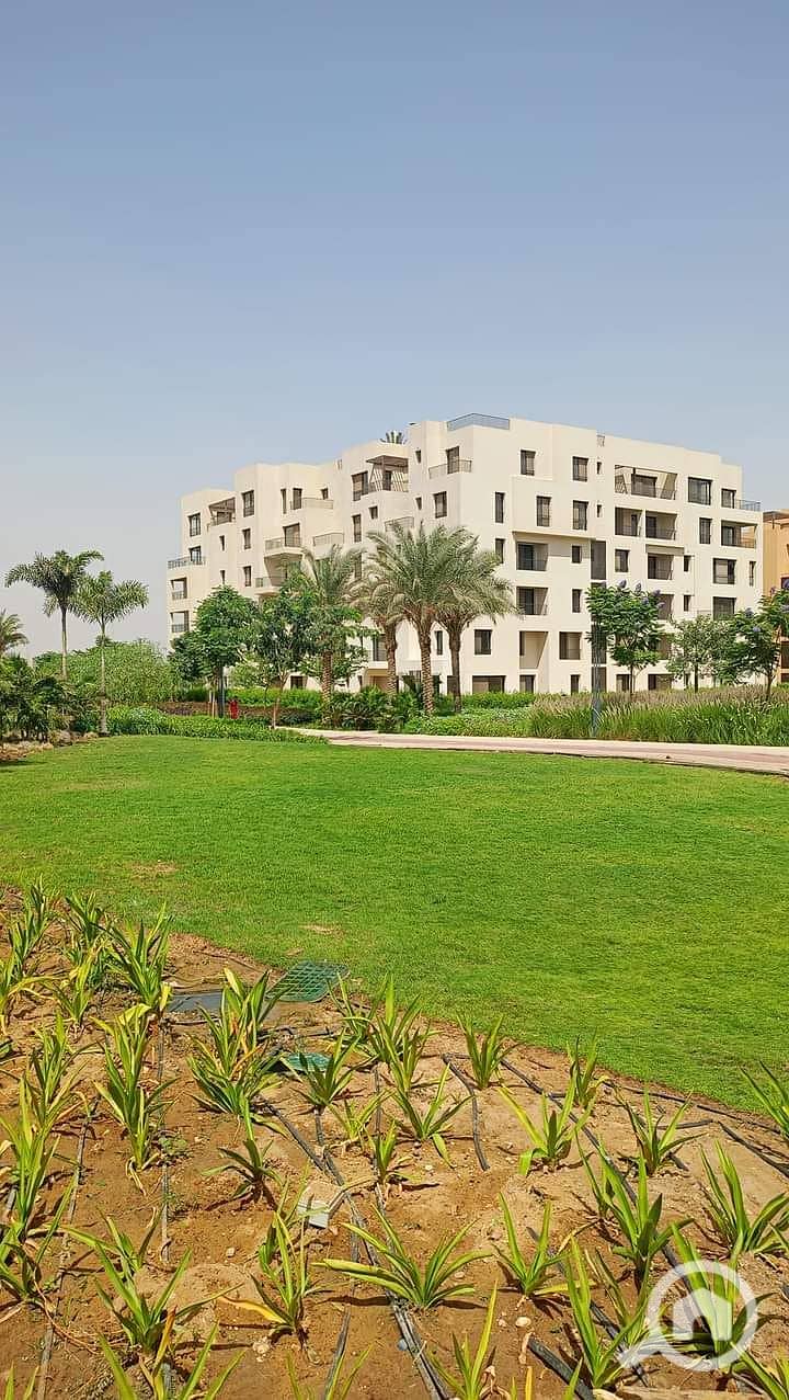 7 FB_IMG_1727180686811. jpg