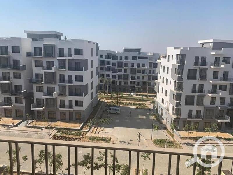 4 WhatsApp Image 2025-11-13 at 04.06. 01_d8670b7a. jpg