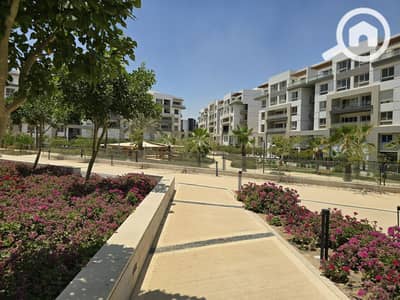 3 Bedroom Apartment for Sale in New Cairo, Cairo - WhatsApp Image 2025-11-08 at 09.31. 23_47aafbdd. jpg