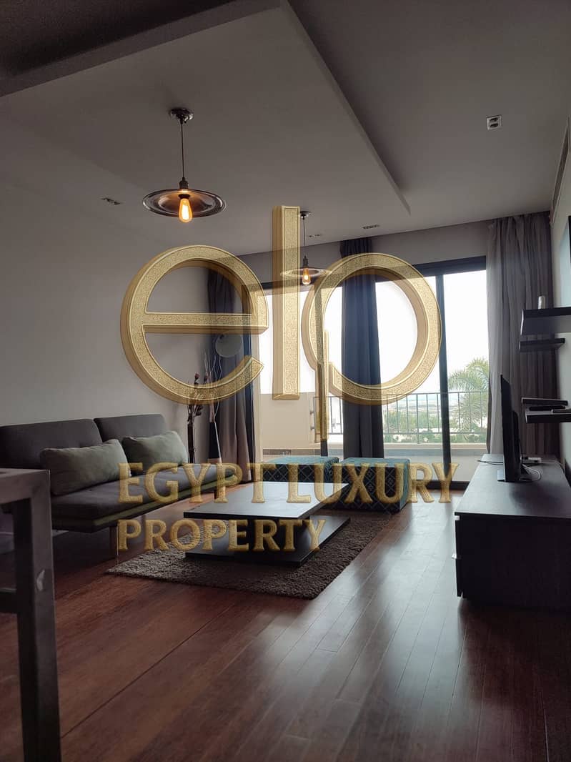 16 WhatsApp Image 2024-01-13 at 5.35. 38 PM. jpeg