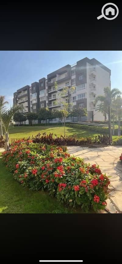 شقة 3 غرف نوم للايجار في مدينتي، القاهرة - IMG_8176. png