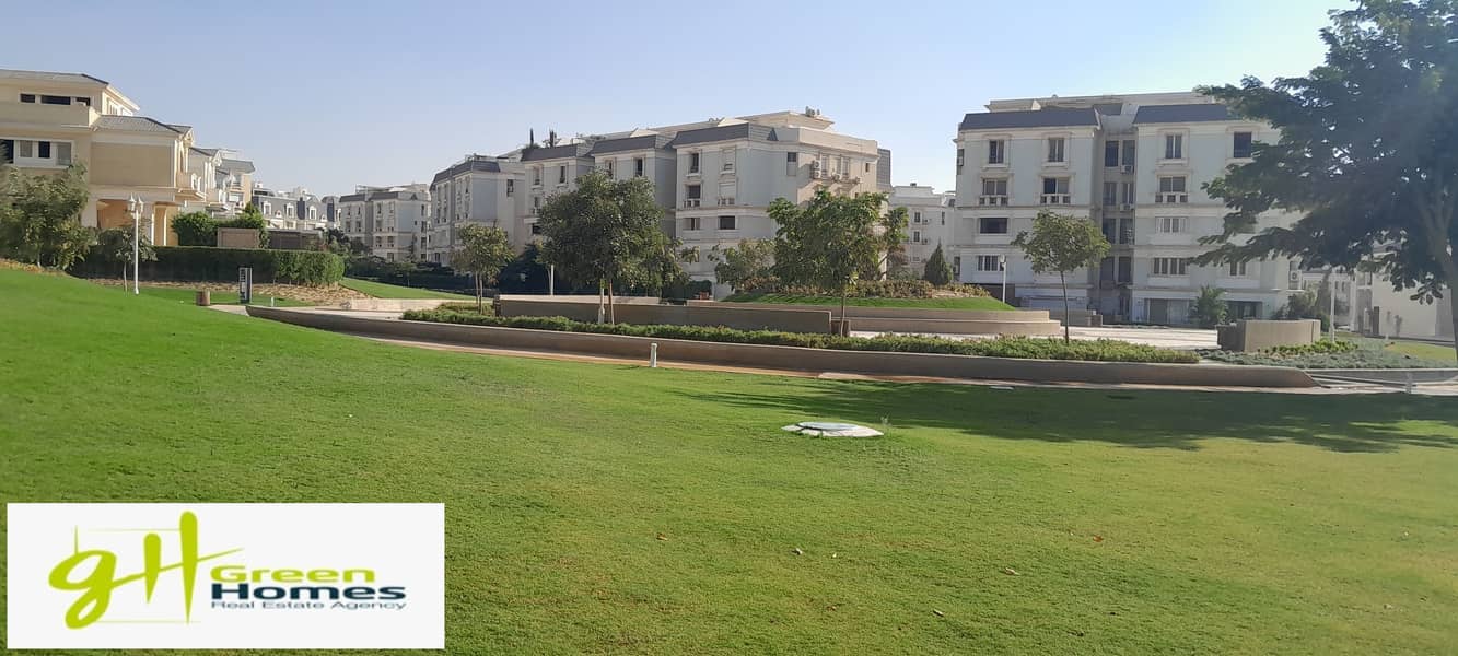 6 20251019_154915. jpg