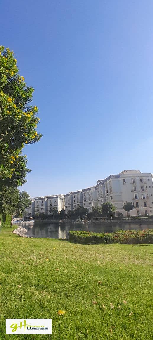 4 20251019_154306. jpg