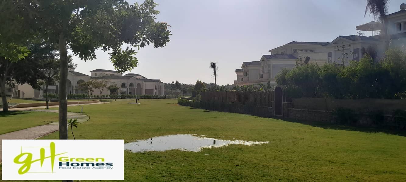 6 20251019_154908. jpg