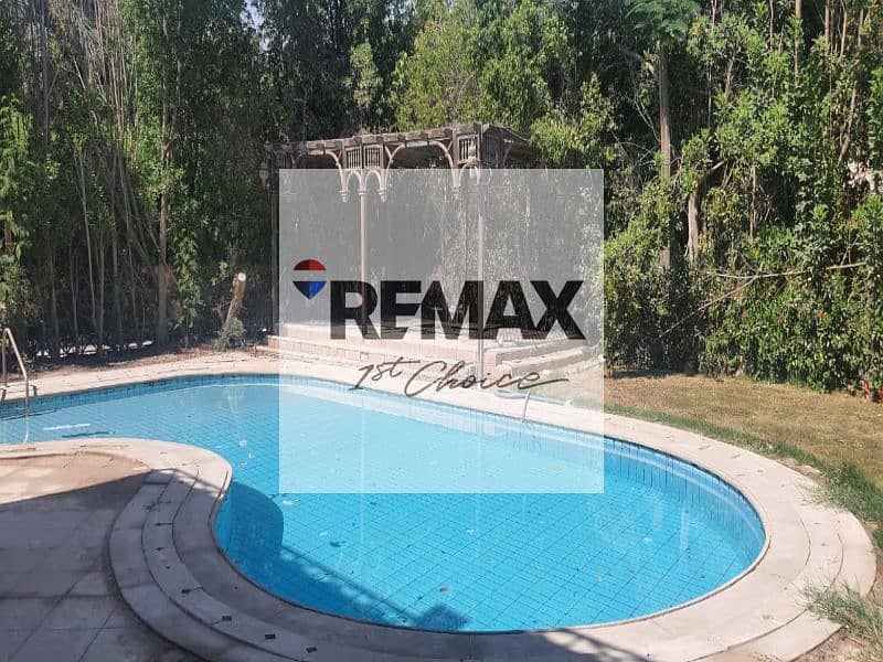 5 133f0b0e-5b1b-4ff3-89d5-f16d63547b32. jpg