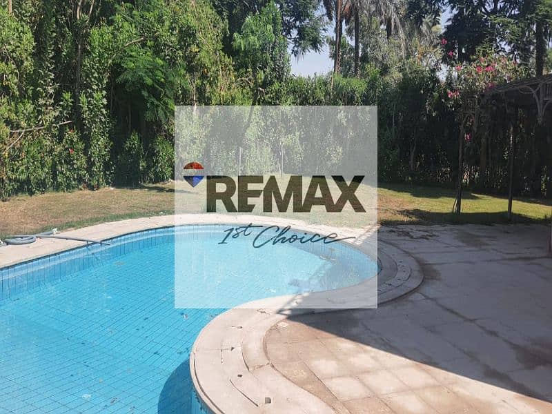 9 844f7f77-3a7e-4dac-a31c-39b350003ff8. jpg