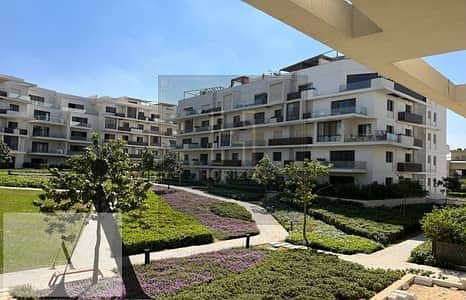 8 32565532-400x300. jpeg