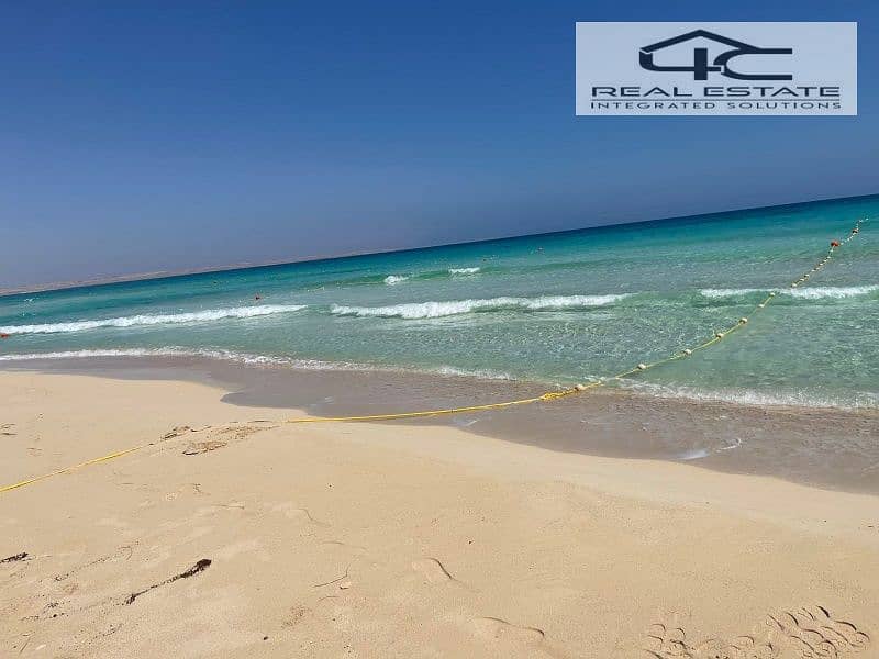 10 WhatsApp Image 2024-06-24 at 1.55. 07 PM (1). jpg