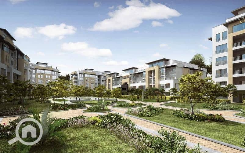 3 72572769_1250748901801143_4029376959480856576_n. jpg